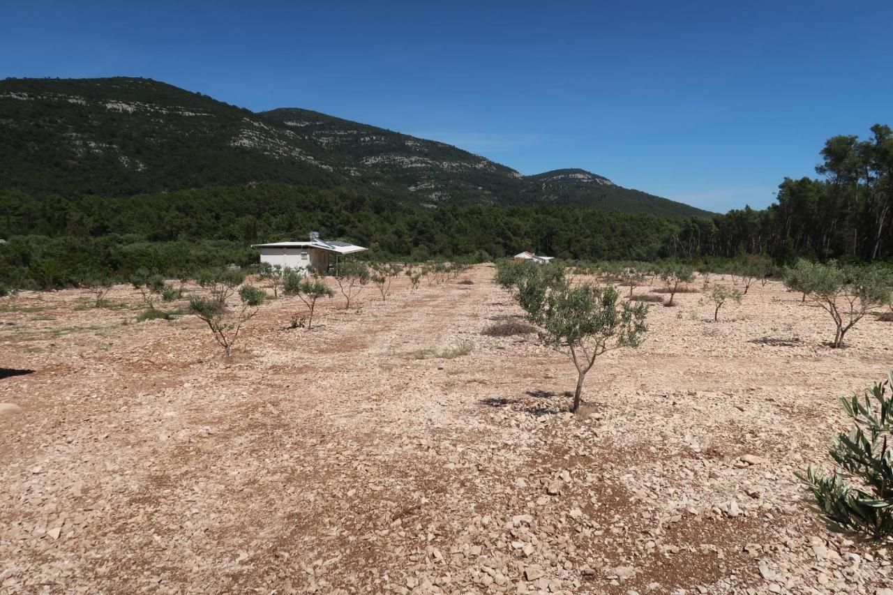 Robinson Olive Tree Huts Villa Čara Buitenkant foto